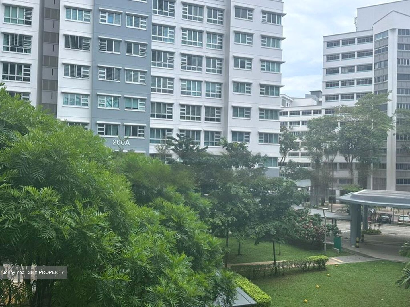 Blk 260A Kebun Baru Court (Ang Mo Kio), HDB 4 Rooms #567648351